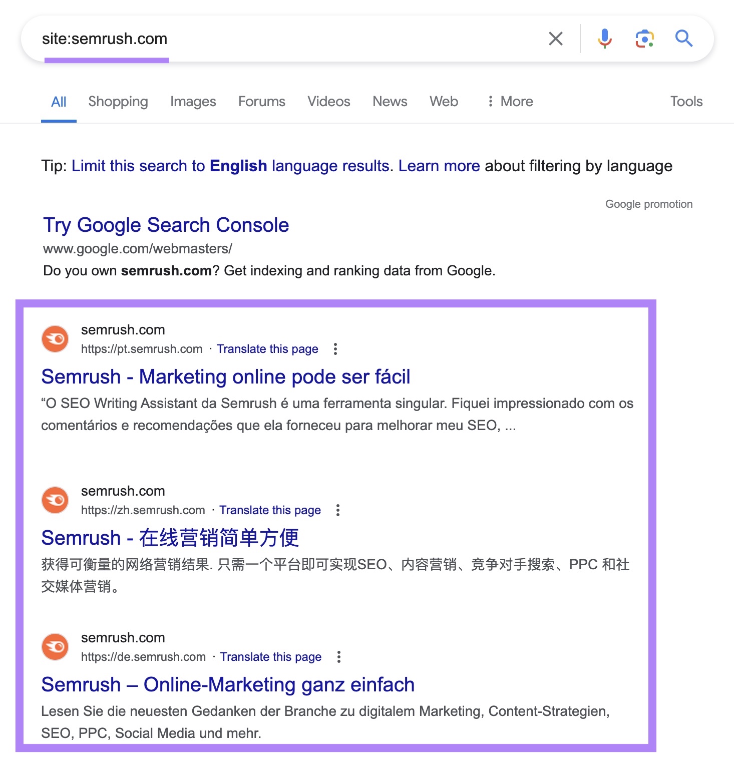site search for "sr02.groupbuyseo.us" on Google with the indexed results highlighted